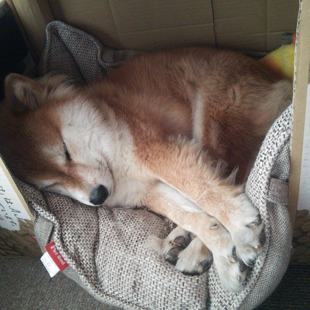 开云体育-新一届中国篮球代表队集训开启备战奥运,中国篮球领队