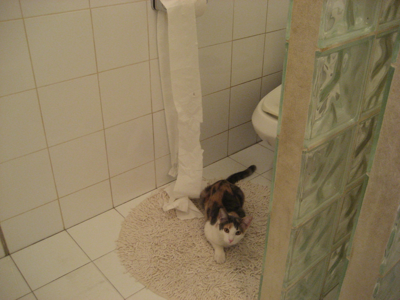 kaiyun开云·官方网站-瓦伦西亚中下游苦苦挣扎,急需策略调整,0304瓦伦西亚