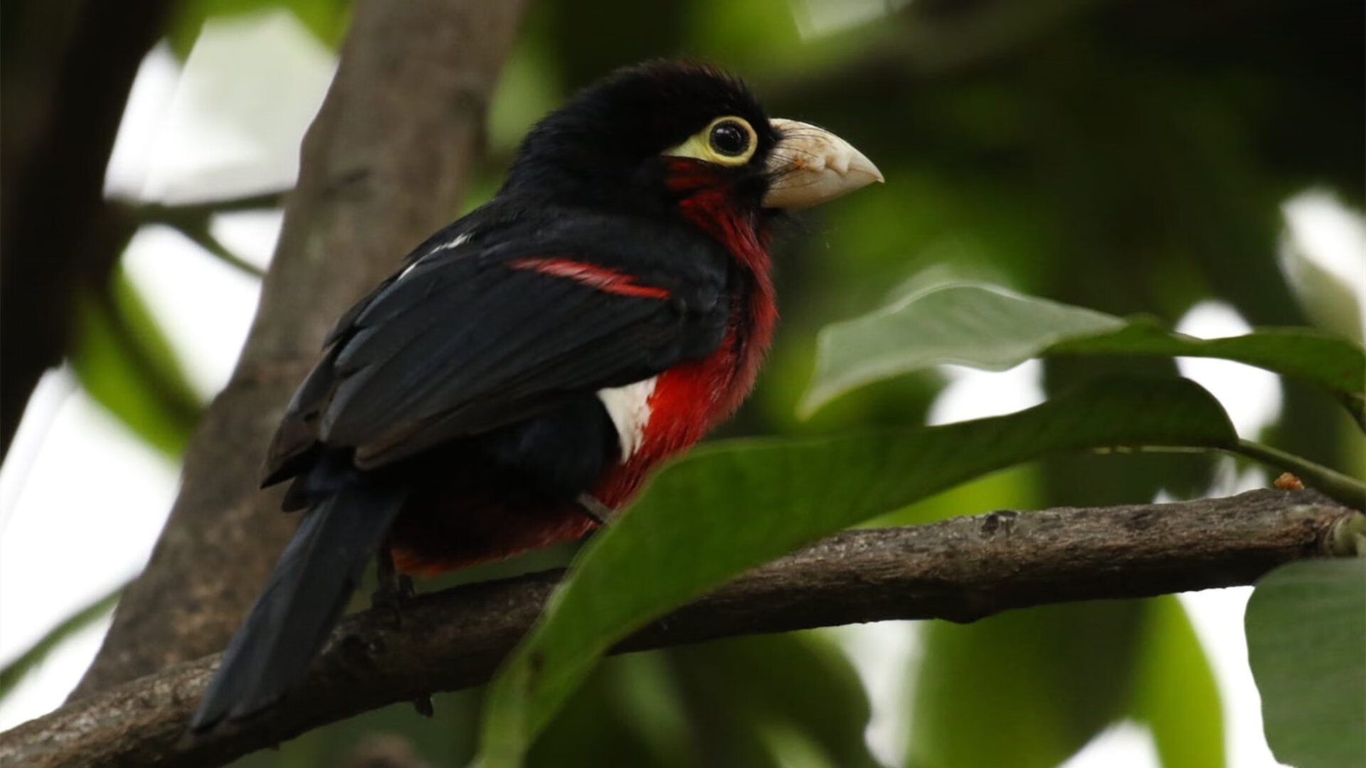 详细阅读:kaiyun中国官方网站-西甲:皇马2-2战平塞维利亚,莫拉塔和登贝莱各下一城,皇马2-1塞维利亚 kaiyun中国官方网站-西甲:皇马2-2战平塞维利亚,莫拉塔和登贝莱各下一城,皇马2-1塞维利亚
