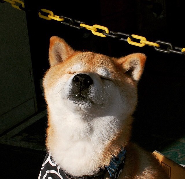 开云体育-76人球队核心球员发挥关键作用,76人球队核心球员发挥关键作用的是谁