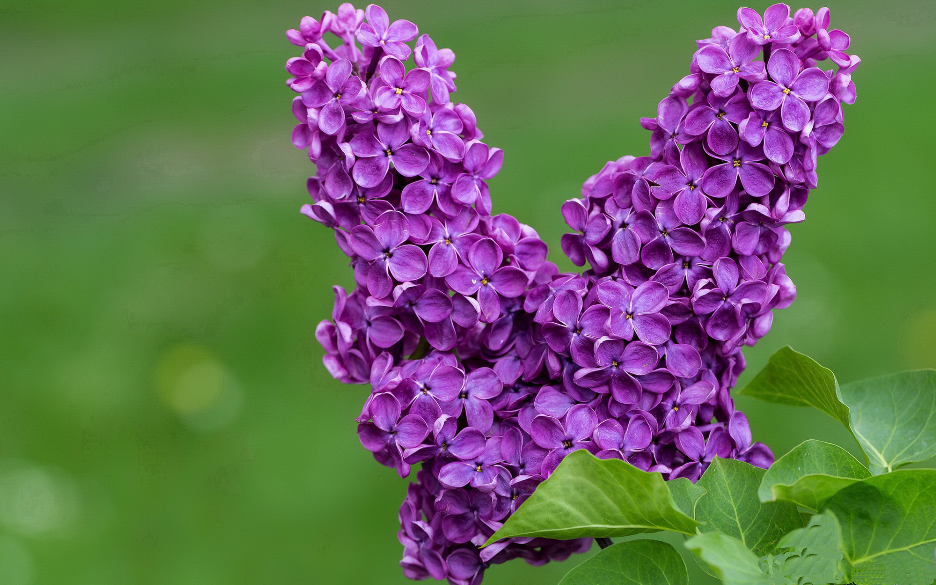 kaiyun开云·官方网站-CBA三分大赛总冠军诞生，朱旭航技压群雄夺魁，cba 三分大赛
