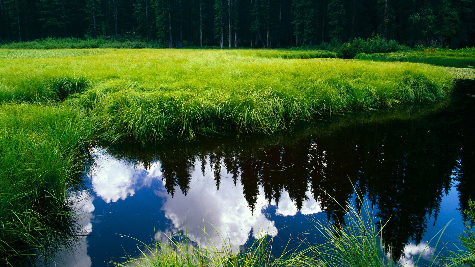 开云平台-利物浦全队发威，继续领跑积分榜，利物浦积分破纪录