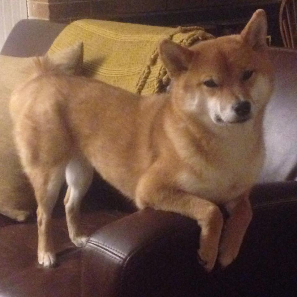 kaiyun体育综合-活塞客场不敌奇才，继续领先东部，活塞队的主场