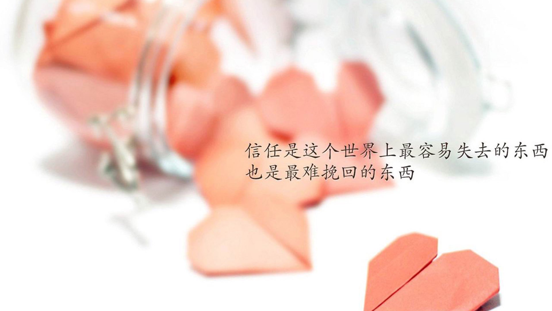 开云·体育官网-浙江队在最新一轮比赛中实力突出,取得关键胜利,浙江队比赛直播