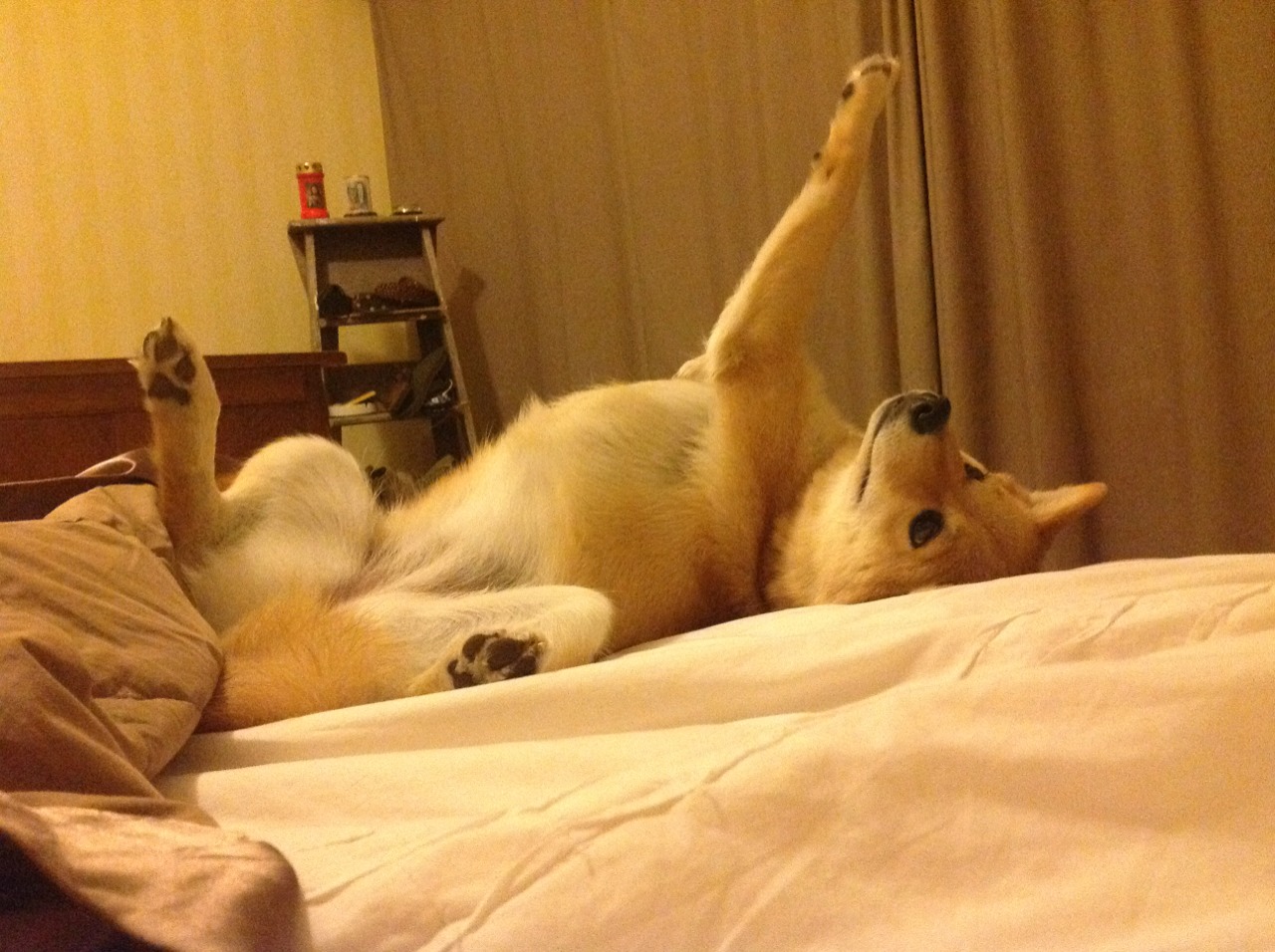 kaiyun官方入口登录-阿尔特塔在比赛中灵活调整阵型,应对不同对手,阿尔特塔退役