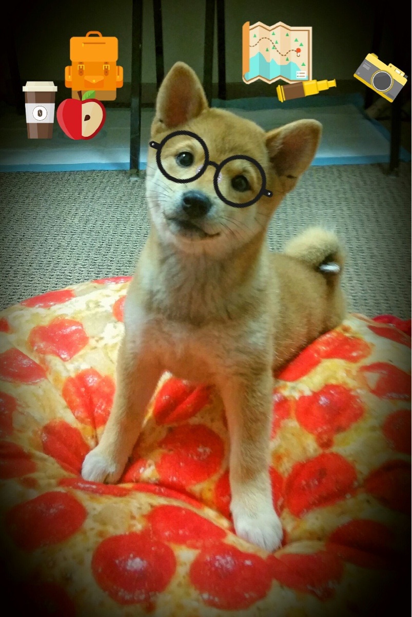 kaiyun网站-中国篮球职业联赛市场竞争环境分析与预测,中国竞技篮球发展现状