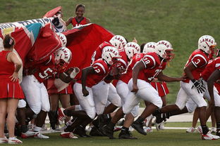 开云官方网页登录-全国青少年体育摄影大赛征稿,记录青春瞬间,体育摄影比赛