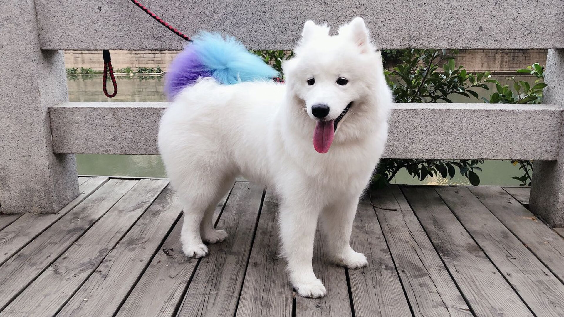 kaiyun.com-德甲裁判语义判罚辅助系统提升判罚准确性研究