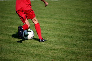 开云网页版-意甲裁判语义分析系统在比赛判罚中的应用研究，意甲裁判名单