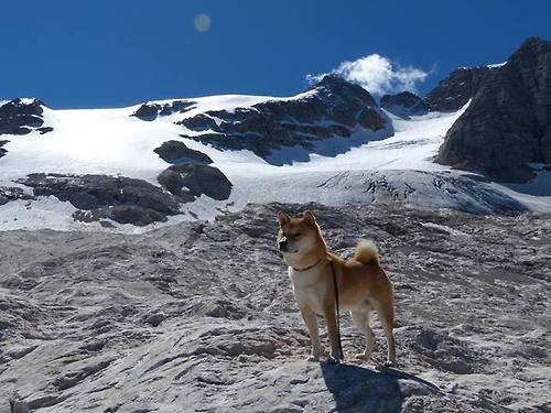 开云体育APP下载-东亚杯国足逆袭 球员技术进步明显,东亚杯国足逆袭 球员技术进步明显吗