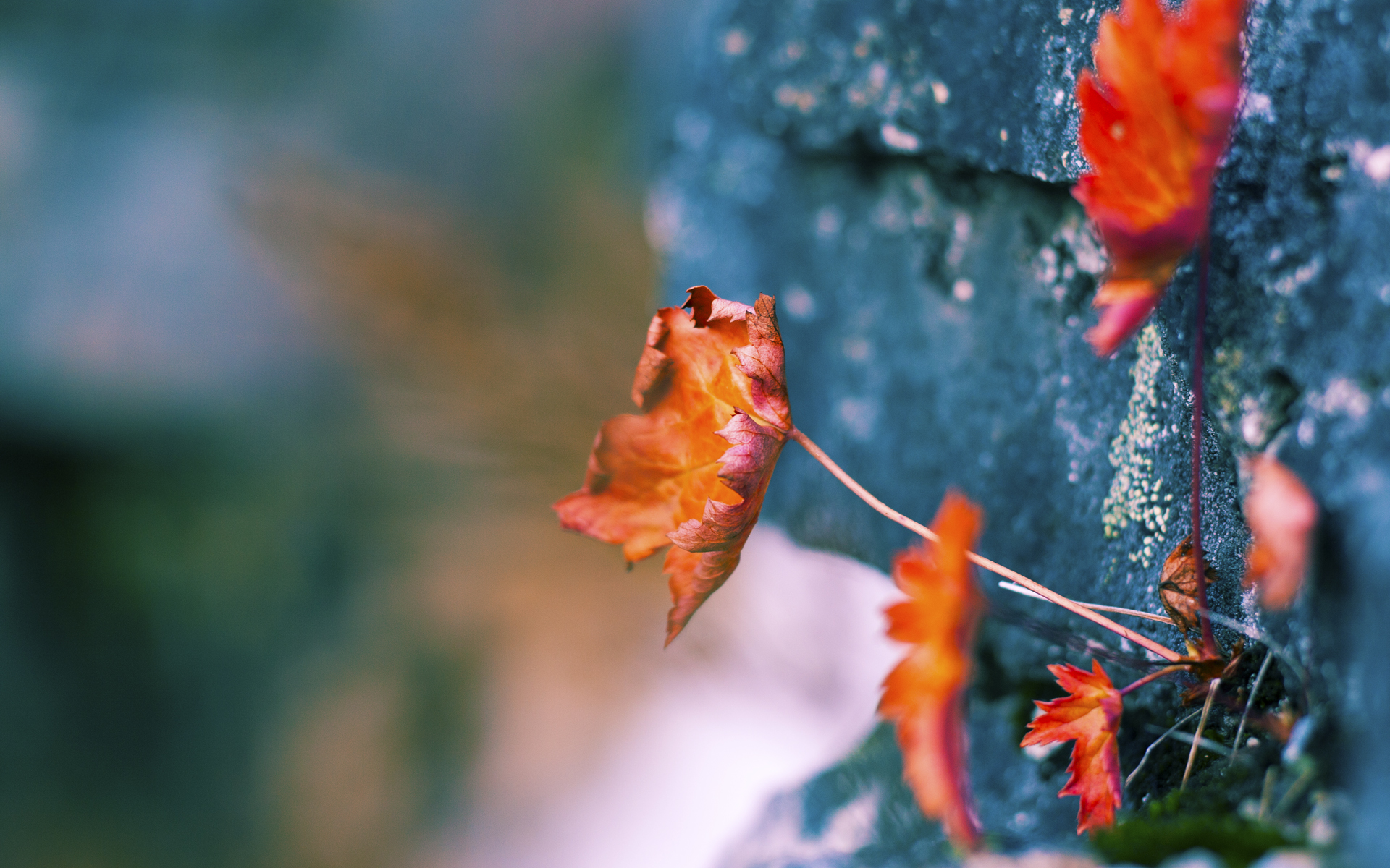 kaiyun.com-分段数据揭示冠军选手节奏奥秘