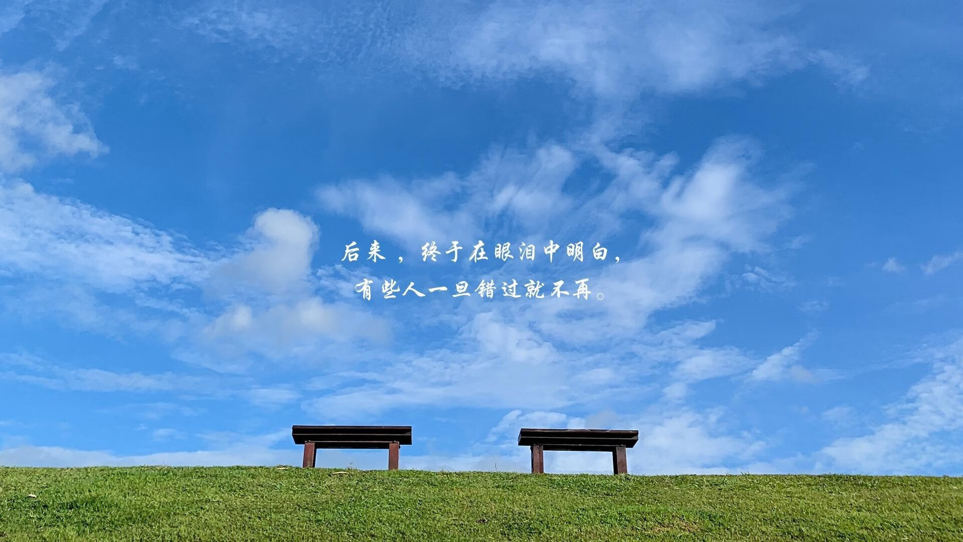 kaiyun中国官方网站-勒沃库森边路起球精准助攻能力增强,勒沃库森 边锋