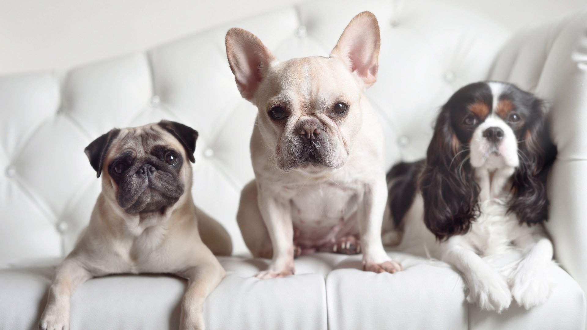 开云体育APP下载-新加坡队表现堪称亮眼：国际乒联混合团体世界杯赛场深度解析，新加坡队乒乓球