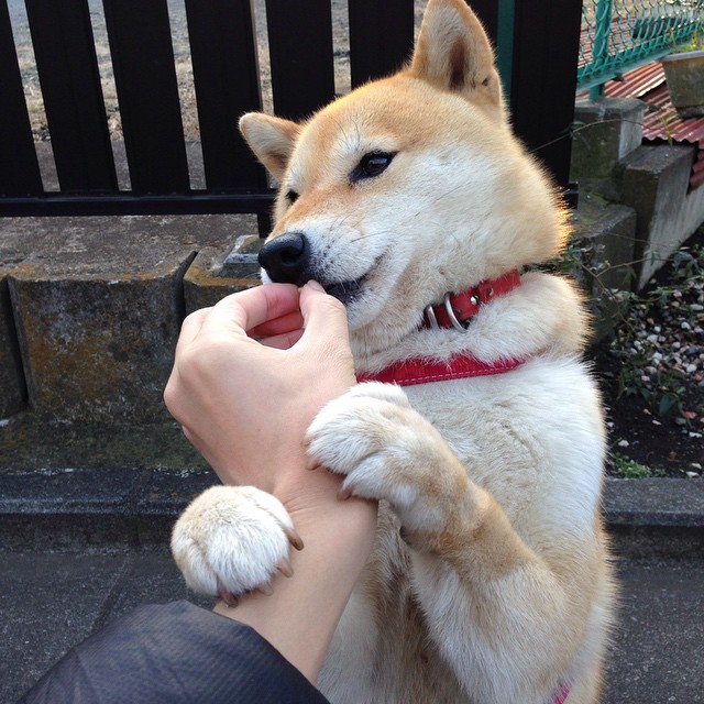 kaiyun体育app-塞尔维亚男篮在欧洲锦标赛中荣耀加冕，夺冠梦实现