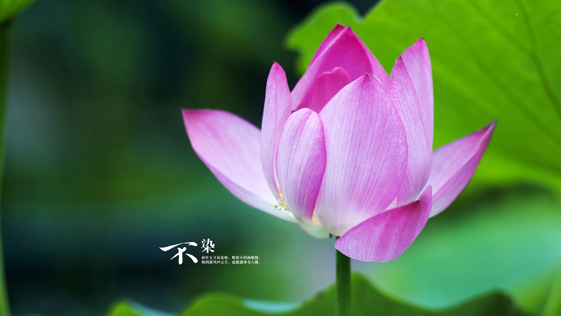 详细阅读:开云·Kaiyun网页版-巴西青训体系进一步完善,培养世界级足球精英 开云·Kaiyun网页版-巴西青训体系进一步完善,培养世界级足球精英