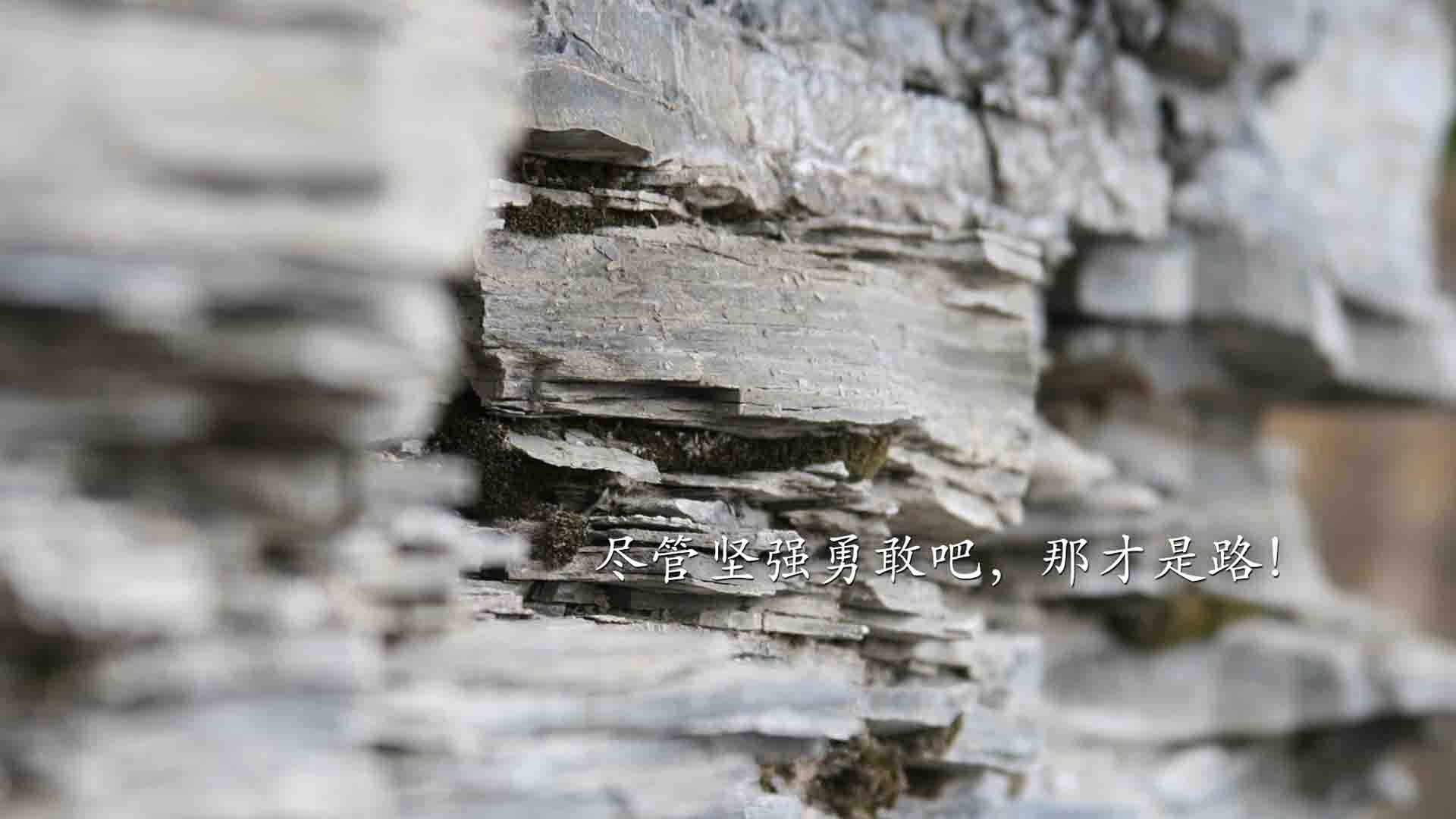 详细阅读:开云官网APP下载-法甲星光璀璨:个人亮相撼动全场,法甲十大新星 开云官网APP下载-法甲星光璀璨:个人亮相撼动全场,法甲十大新星