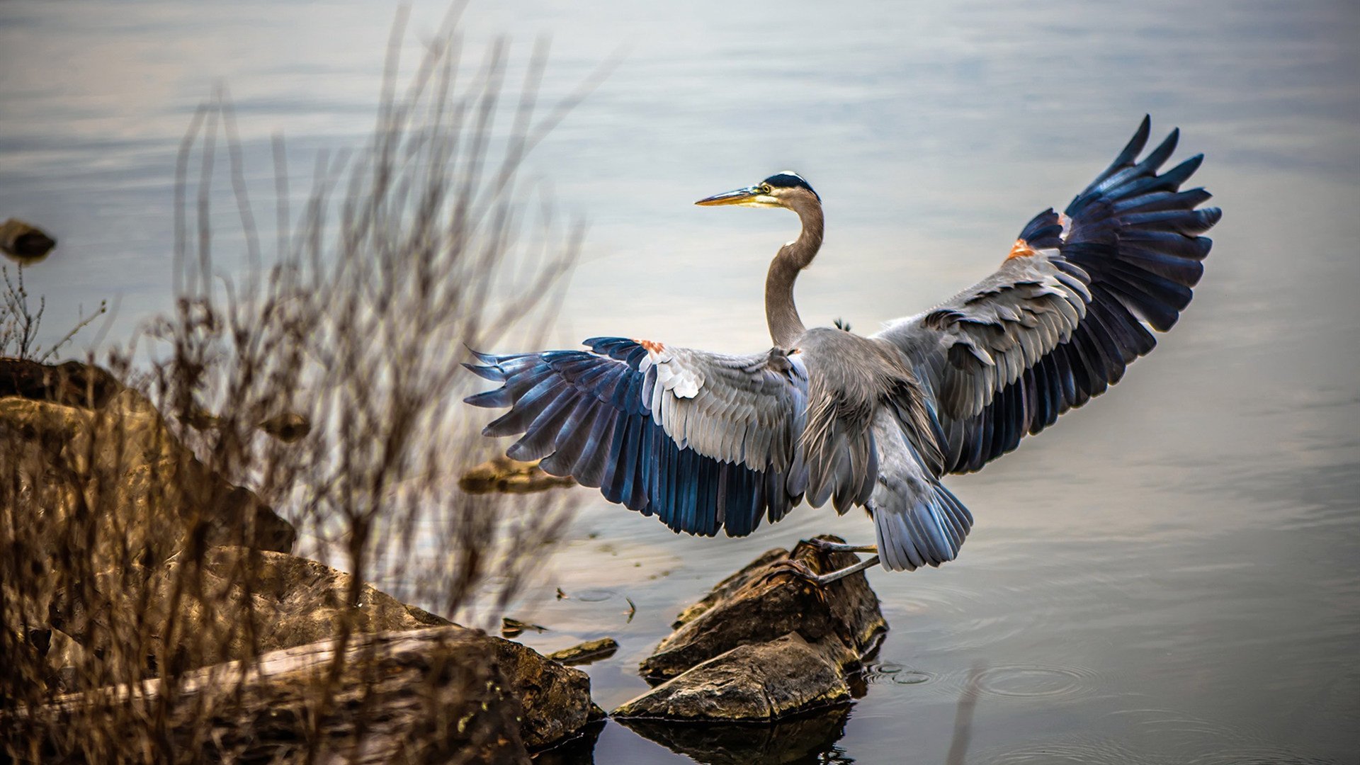 开云体育APP下载-里根·史密斯耐力与爆发力完美结合，史密斯·李